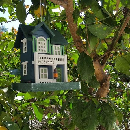 Casa Vacanze Darena Tortoreto Eksteriør billede