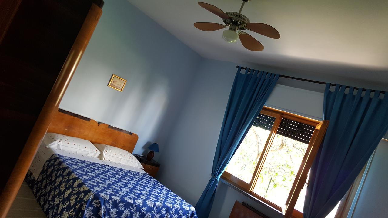 Casa Vacanze Darena Tortoreto Eksteriør billede