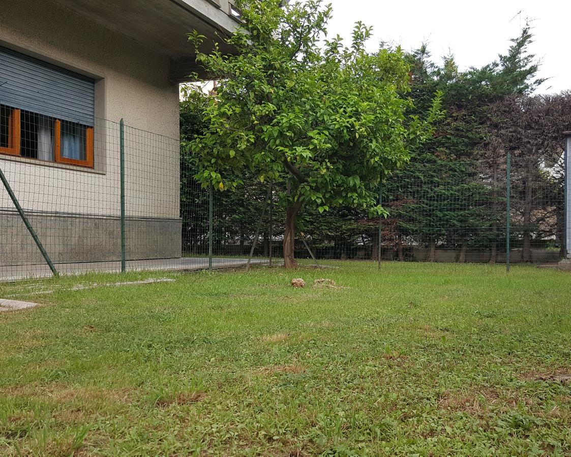 Casa Vacanze Darena Tortoreto Eksteriør billede